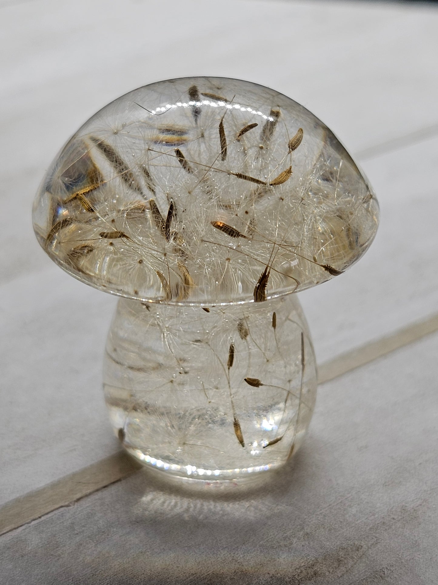 dandelion resin mushroom