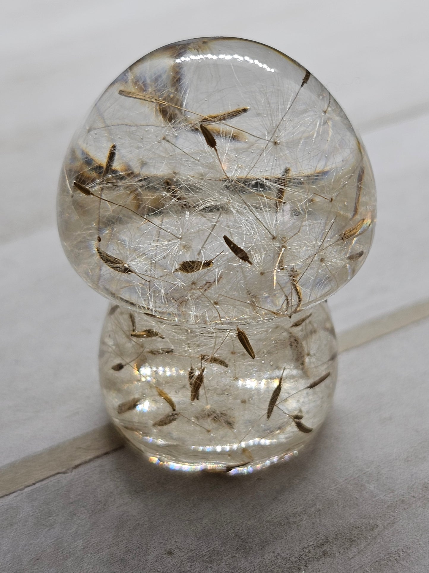 Dandelion mushroom