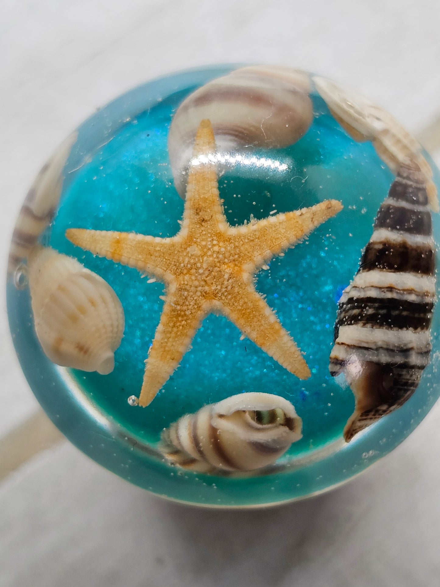 Seashell resin mushroom