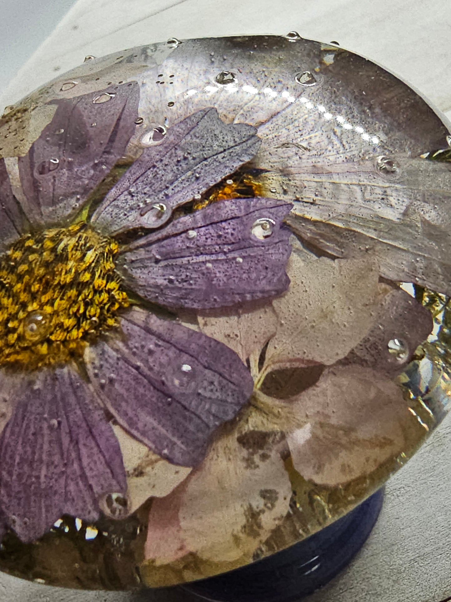 purple wildflowers mushroom