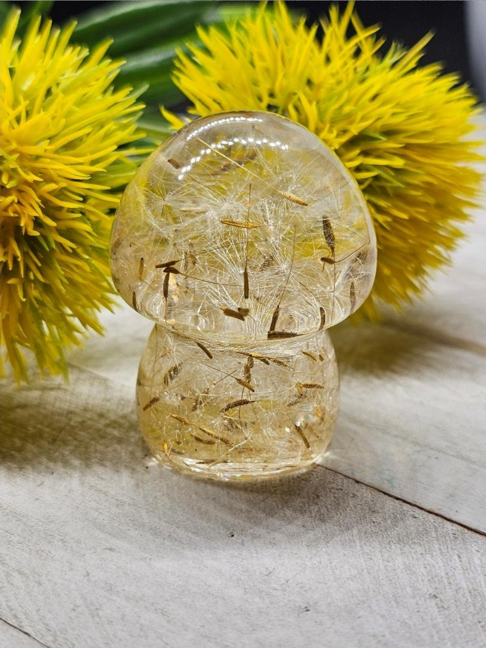 Dandelion mushroom